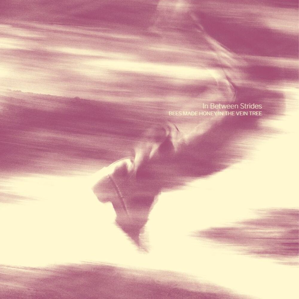 Bees Made Honey in the Vein Tree - In Between Strides CD